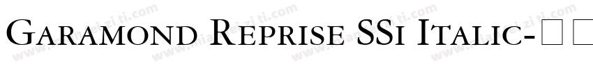 Garamond Reprise SSi Italic字体转换